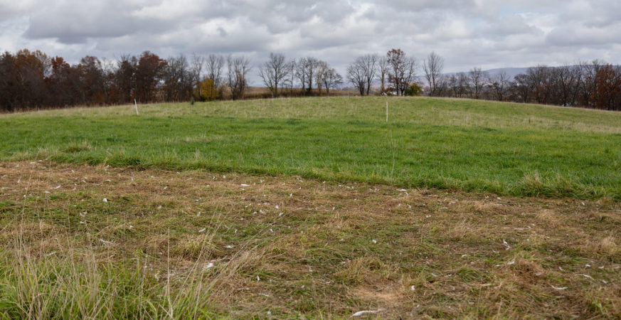 Regenerative farming is gaining ground as a climate-smart solution that goes beyond sustainability.
