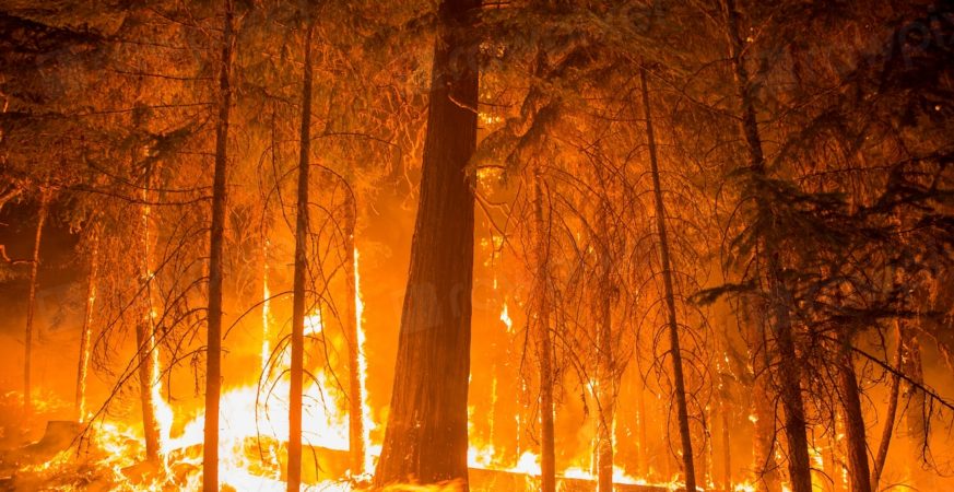 B.C.'s outdated forestry rules and poor coordination with communities raise wildfire risks, a new report finds.