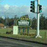 Top 5 Ways to Stay Informed and Active in Surrey
