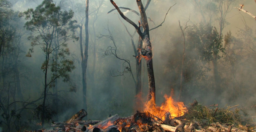 Lytton Wildfire Update: Izman Creek Blaze Tops 130 Hectares