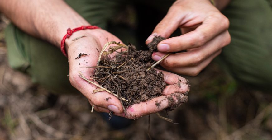 Surrey Proposes Soil Bylaw Update to Speed Up Permits