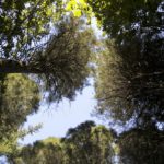 Surrey’s Secret to Healthy Living: A Local’s Guide
