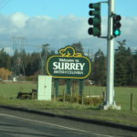 Surrey Summer Festivals 2025: Music, Culture, and Family Fun