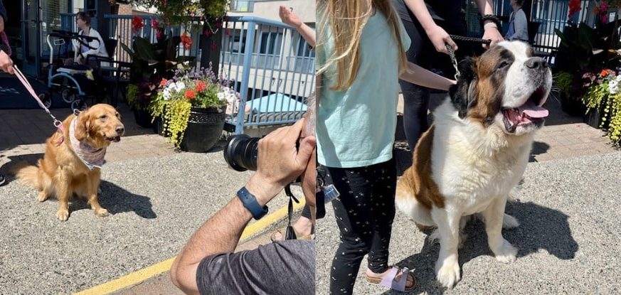 White Rock Dogs Calendar Return to Honour Beloved Founder