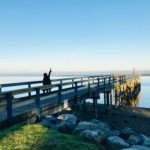 Where to Cool Off in Surrey as Heat Alerts Rise