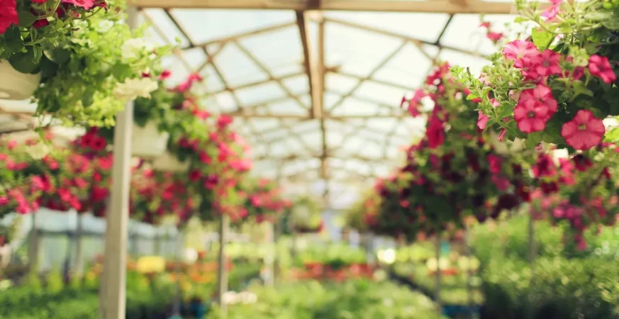 Nurseries