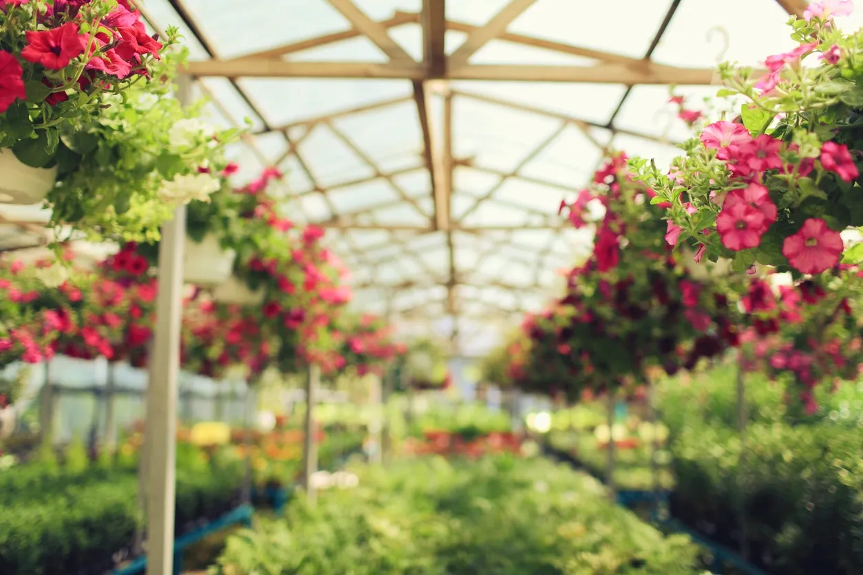 Nurseries