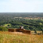 Top Nature Trails in Surrey for Walks & Jogs