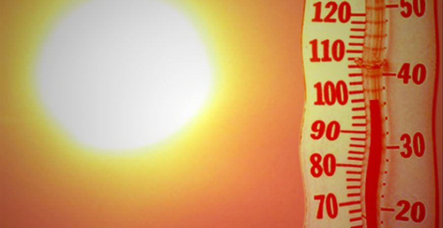 Surrey Issues Heat Safety Reminder as Temperatures Rise