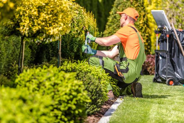Gardening