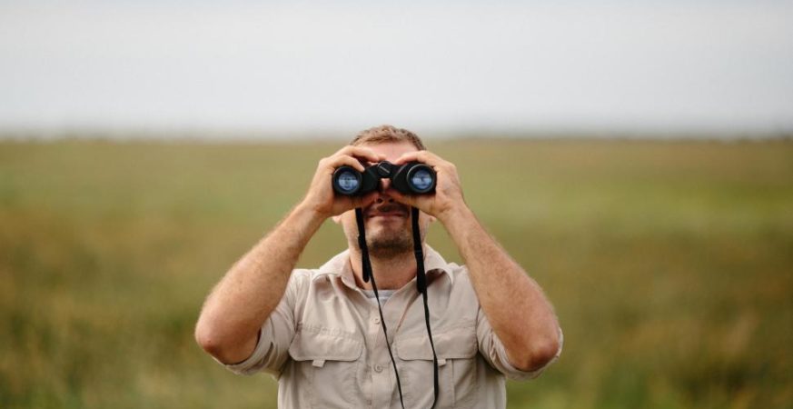 Explore Surrey this summer with curated experiences from whisky tasting to birdwatching. Support local while having unforgettable fun.