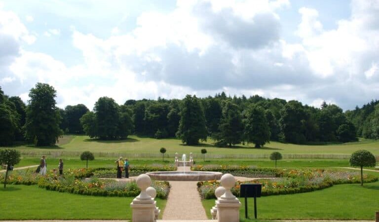 Surrey's nature