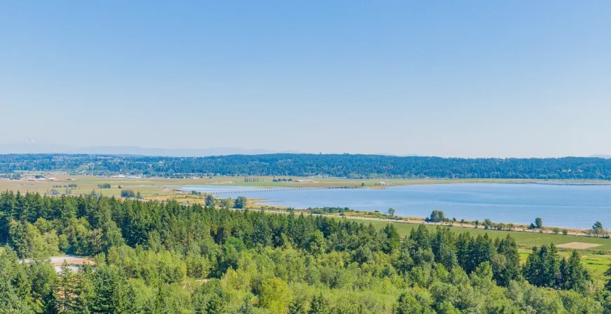 Surrey's hidden gem