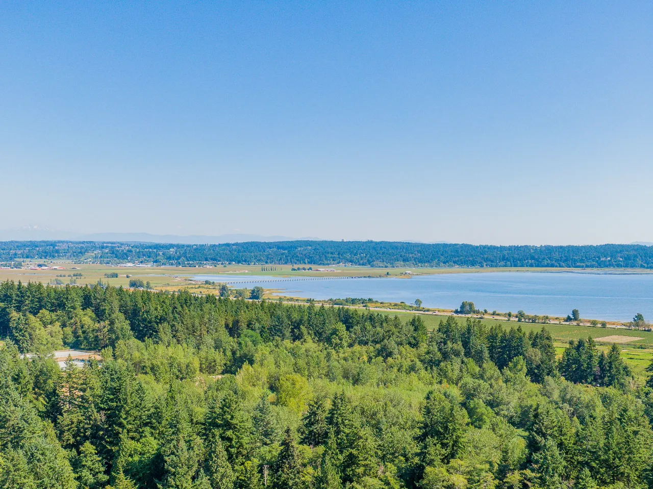 Surrey's hidden gem