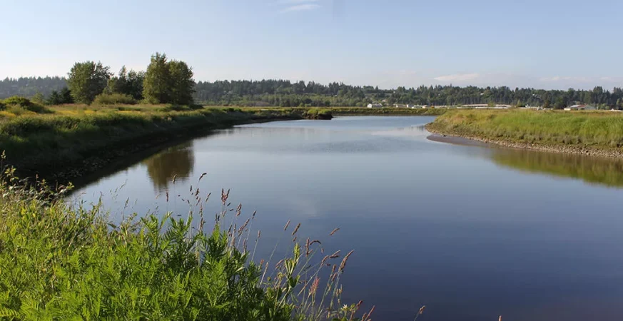 The Serpentine River