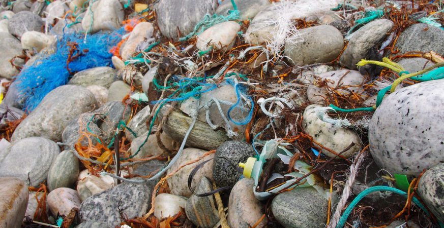 Volunteers Remove 200 lbs of Litter from White Rock Shoreline
