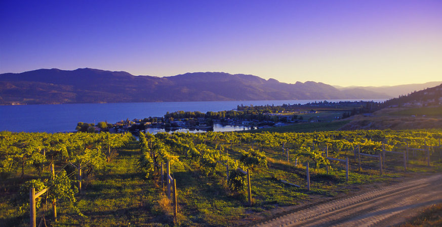 Okanagan Tourism Faces Spending Slowdown Despite Kelowna Visitors