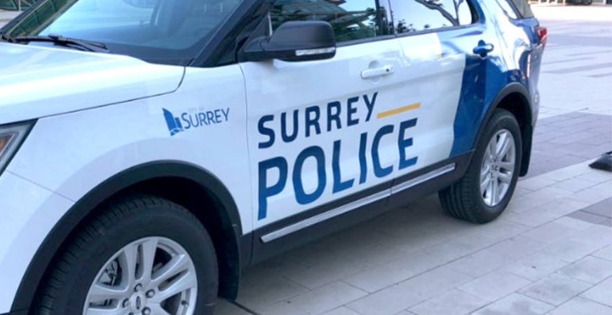 Loaded Gun, Drugs Seized in Surrey Police Traffic Stop