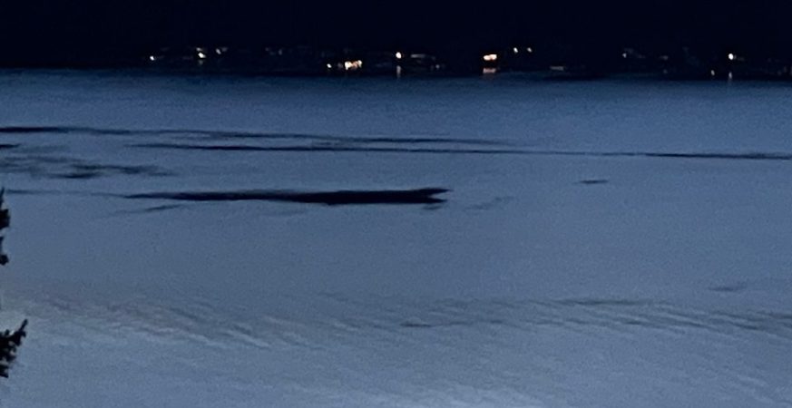 Ogopogo