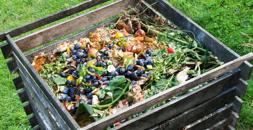 How to Start Composting at Home in 3 Easy Steps