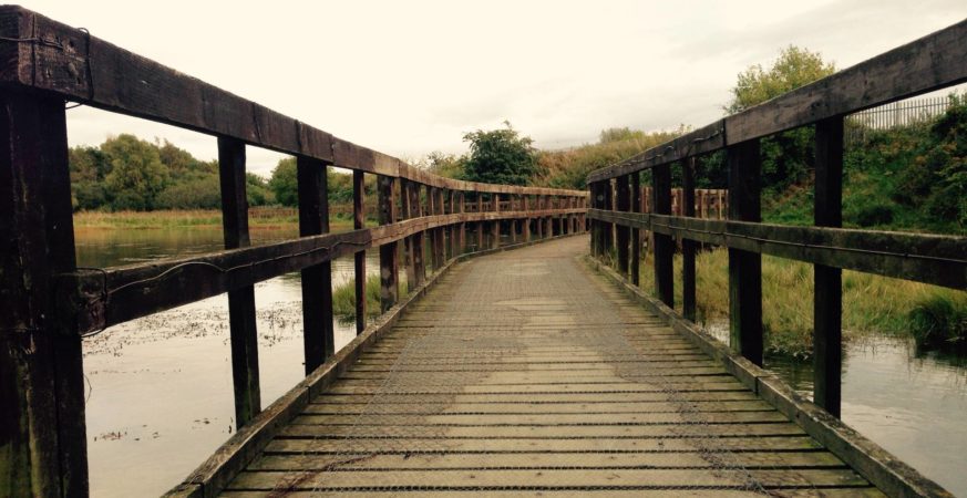 Local nature reserves