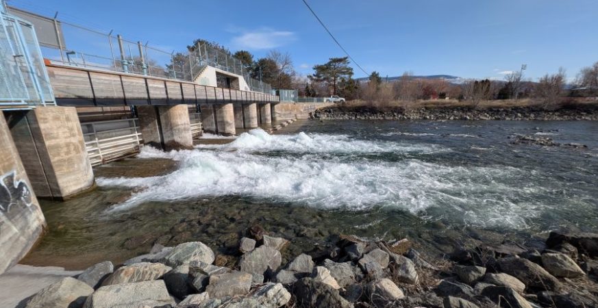 Salmon Passage Restores Habitat Access in Okanagan Lake