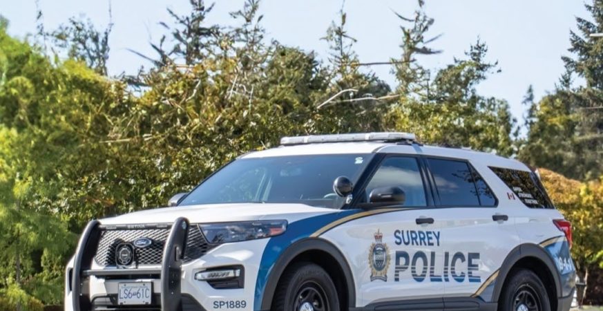 Suspect Seized After Weapon-Involved Incident in Surrey