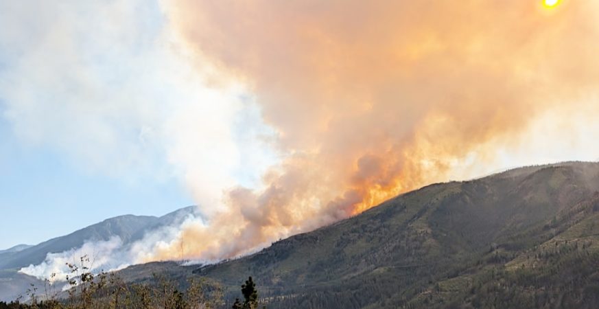 Wildfire
