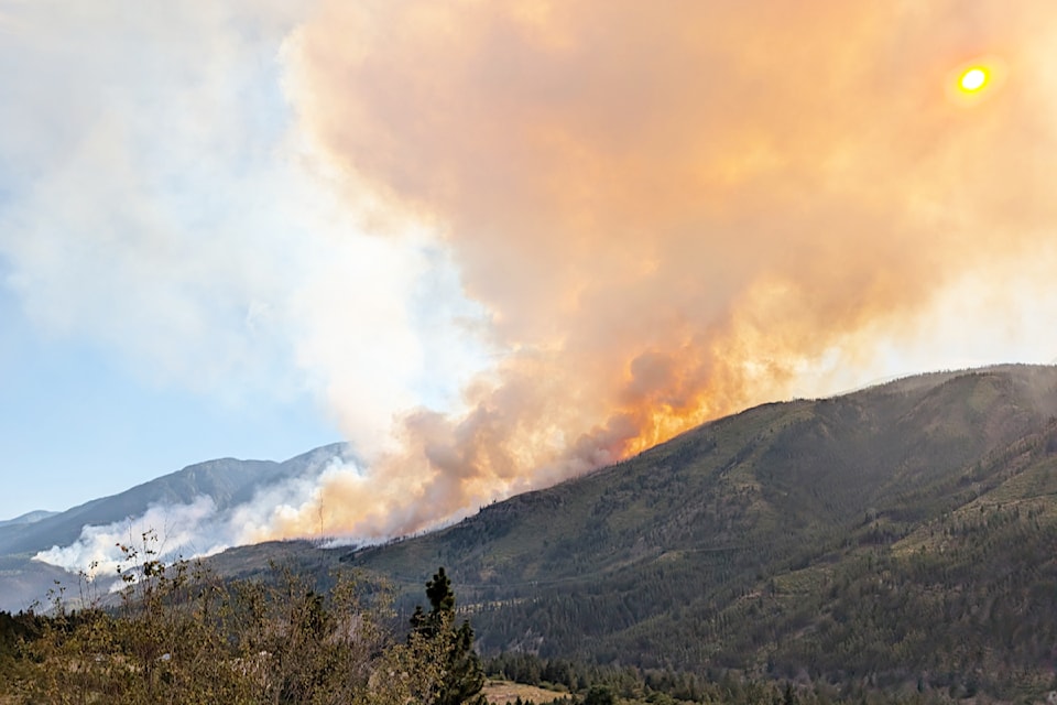 Wildfire