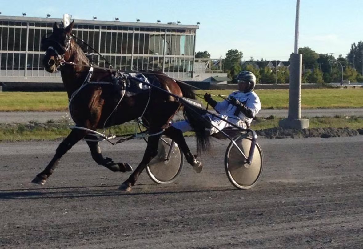 Horse racing