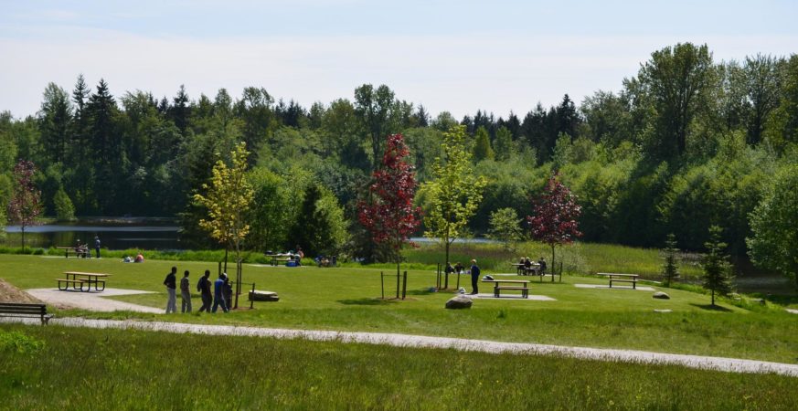 Green Timbers Urban Forest