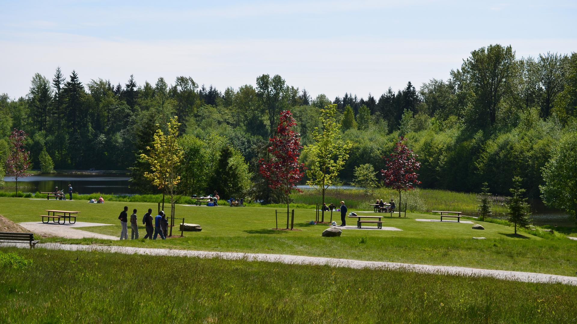 Green Timbers Urban Forest
