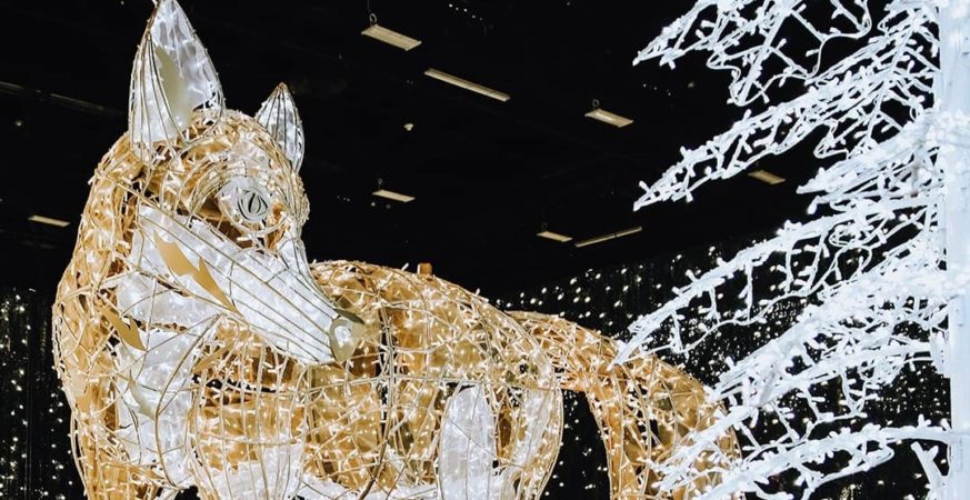 Bright Nights Holiday Display Returns to Surrey Roots