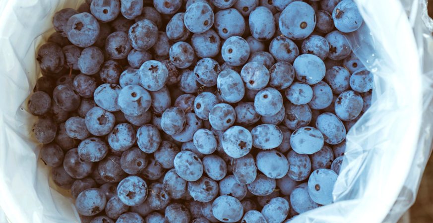 Abbotsford blueberries now served in B.C. hospitals