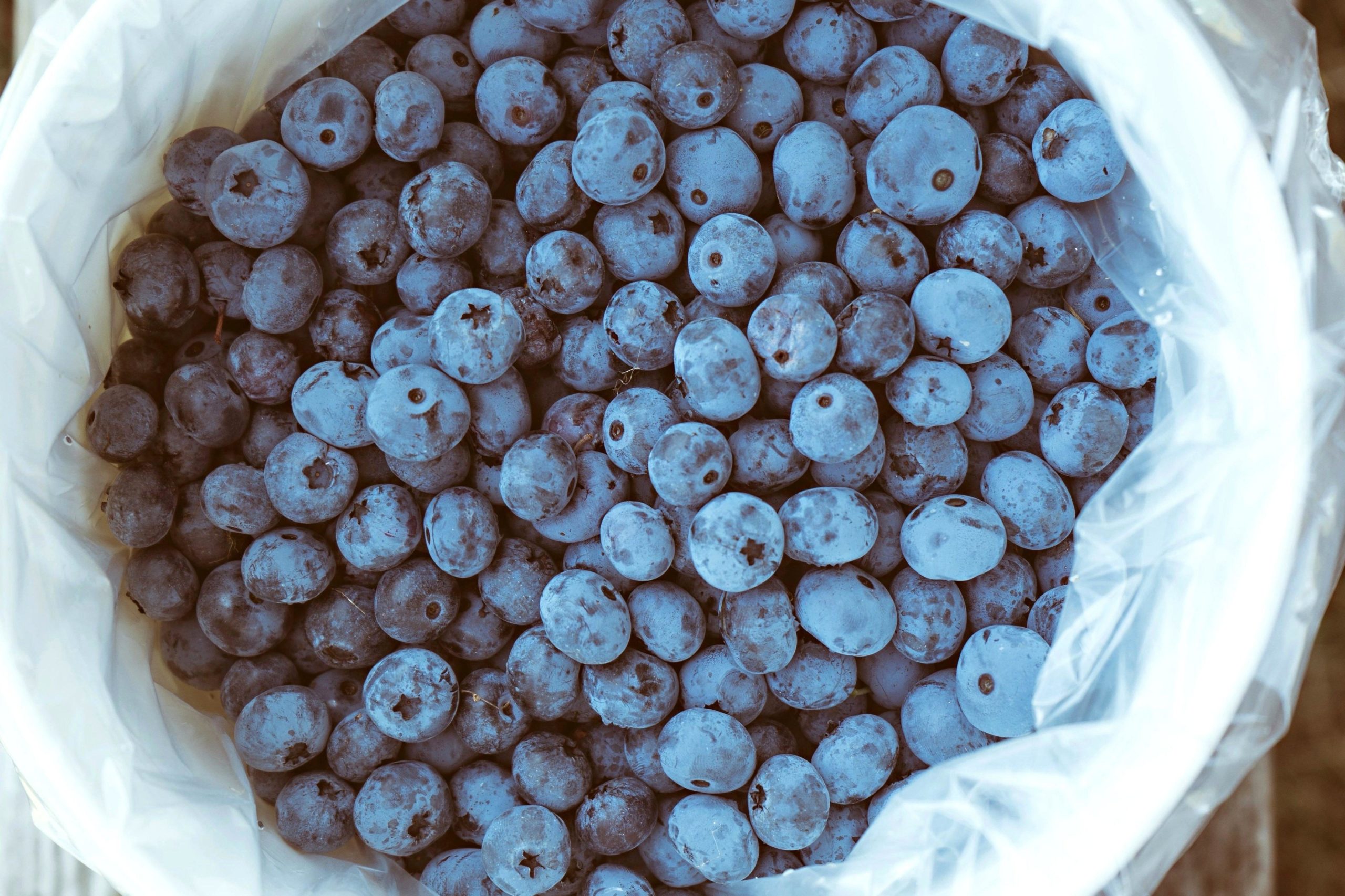 Abbotsford blueberries now served in B.C. hospitals