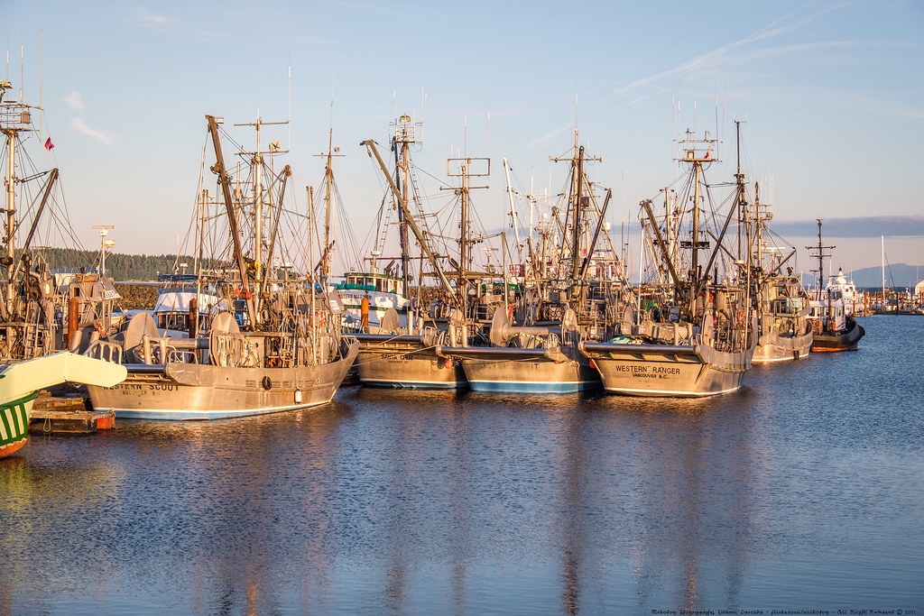 Campbell River port
