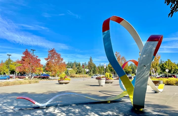 Surrey’s Top Neighbourhoods 2025 Locals Recommend