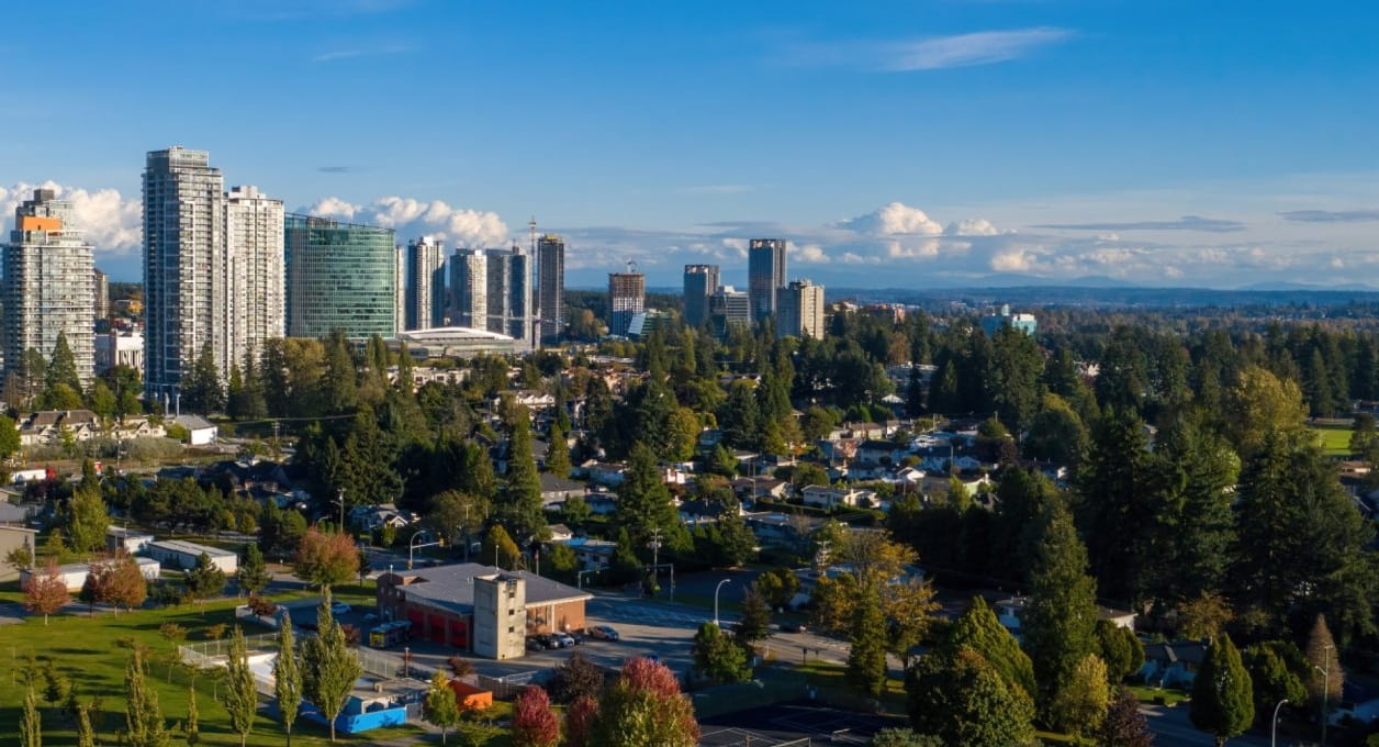 Surrey Celebrates Six Years as a Tree City of the World