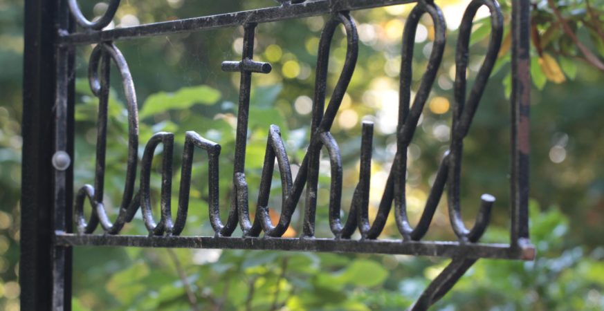 Scarecrow Stroll Brings Autumn Magic to Darts Hill Garden