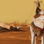 Surrey filmmaker’s ‘After Us’ premieres with NFB