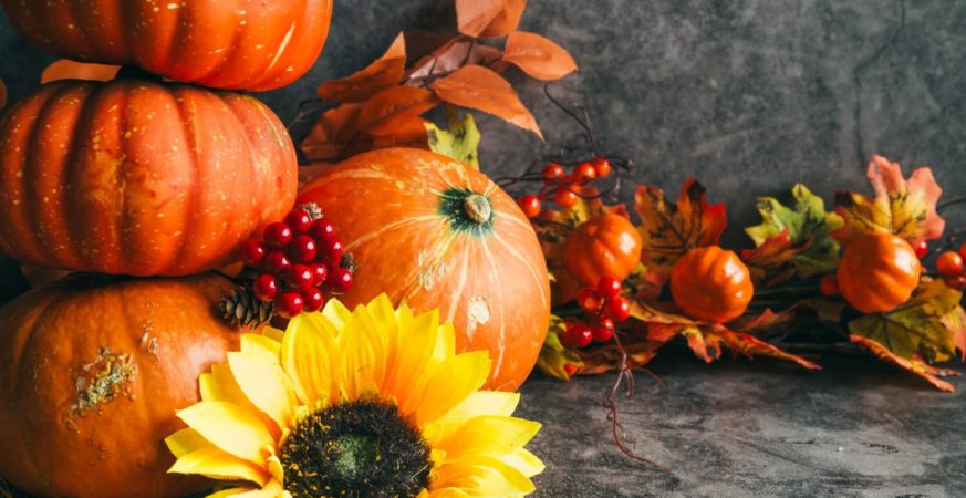 Autumn Flavors in Surrey: Pumpkins & Cranberries