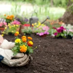 Quiet Living: Why More People Are Choosing Slow Lifestyles