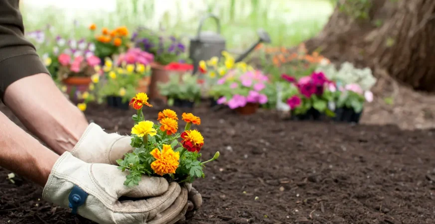 Gardening