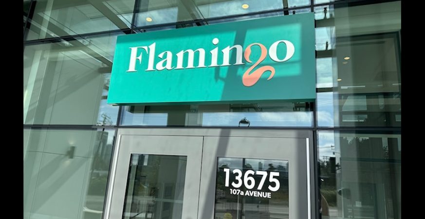 flamingo
