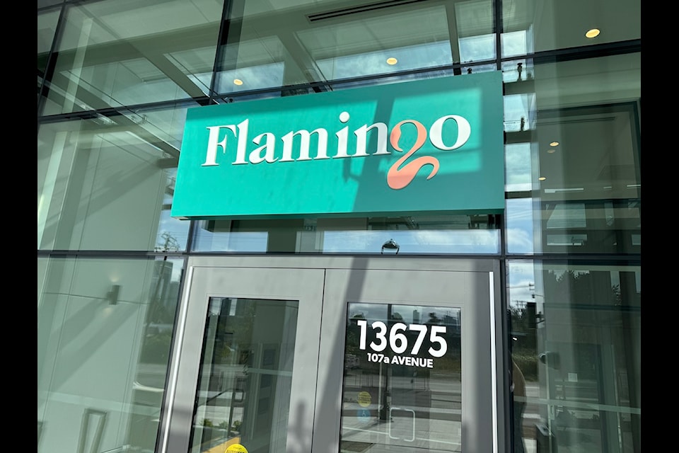 flamingo