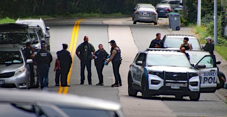 Heavy Police Presence in Surrey Newton During Search