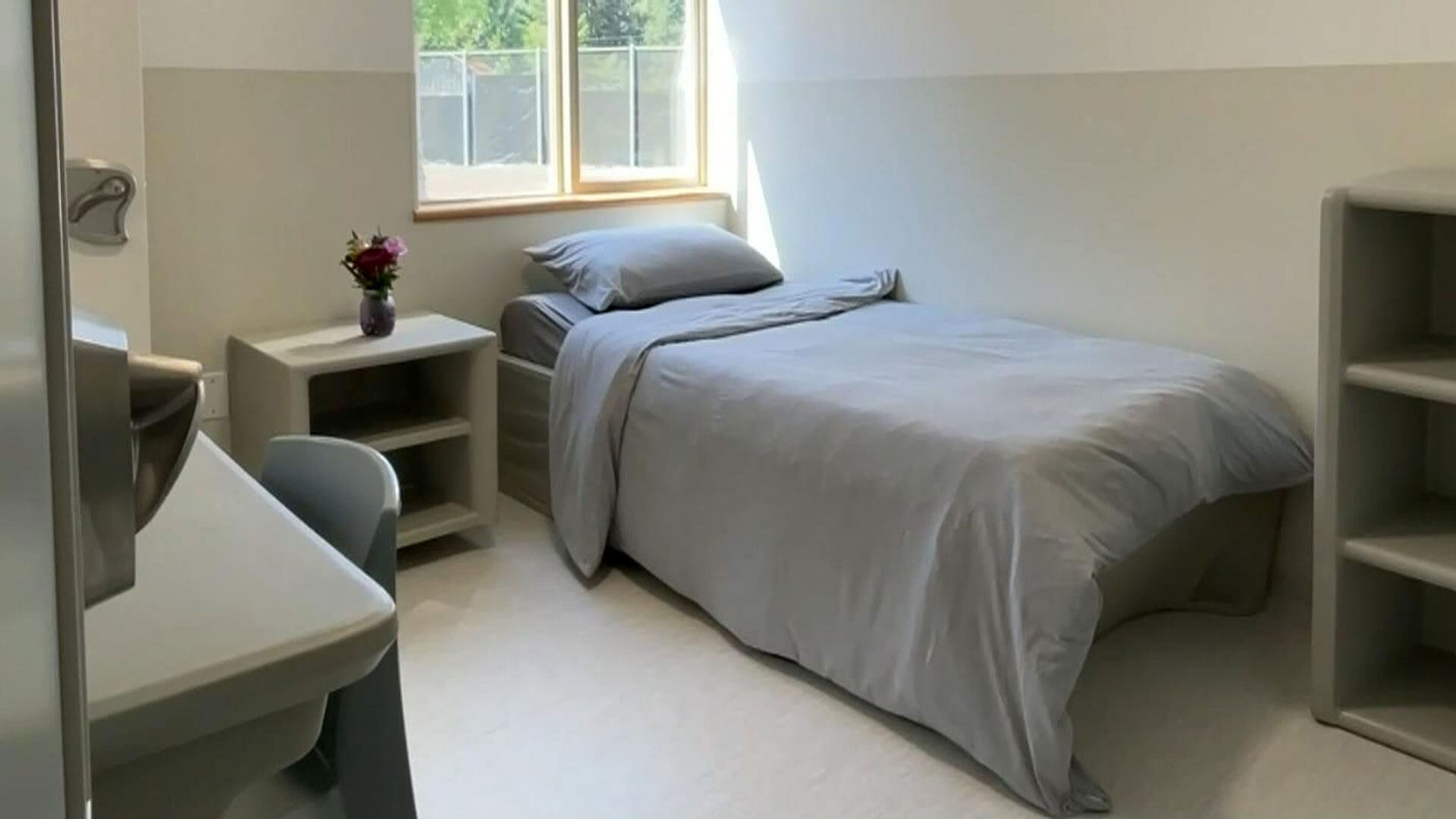 Understanding Involuntary Care in B.C.: How It Works