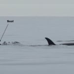 AI Summit Vancouver 2025 to spotlight how industries and innovators are shaping the future of responsible AI