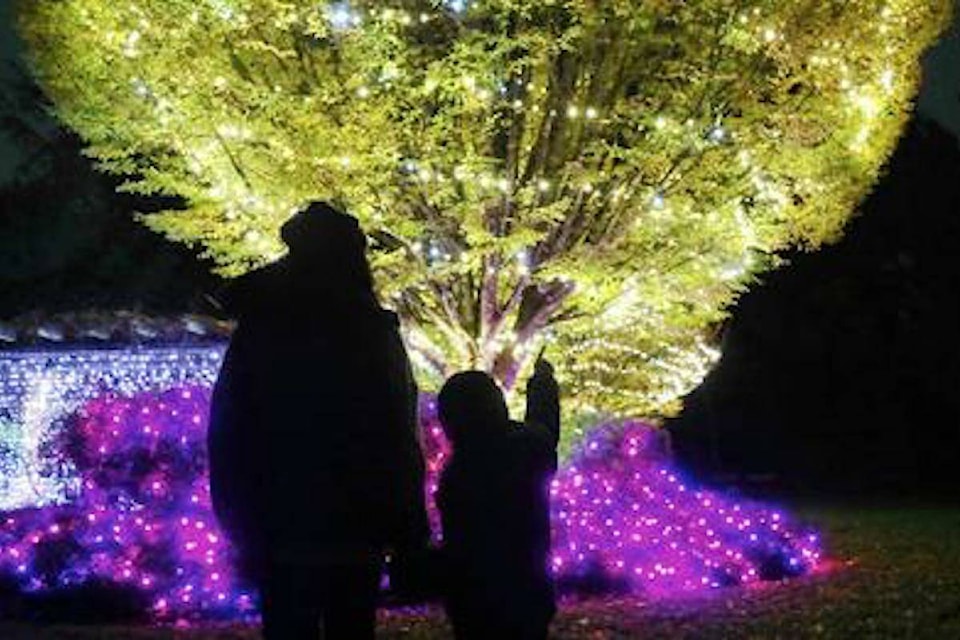 People and lit trees at Bear Creek Lights