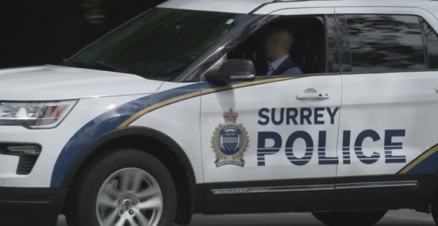 Surrey man charged with sexual assault and theft